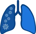Pulmones